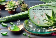 Why Aloe Vera is Good for Pimples